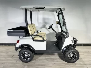 Marshell 2-seater utility golf cart 2025 (While Stocks Last)